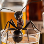 Profile picture of กอง ตระเวน